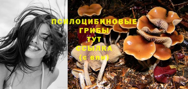 дживик Балабаново